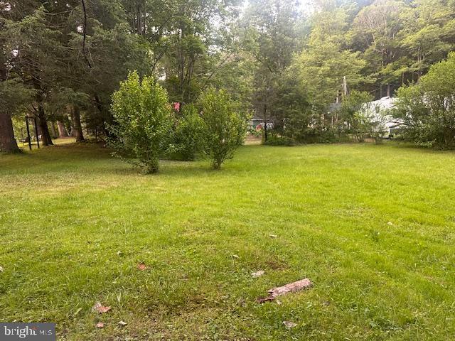 270 Pharr Road Everett, PA 15537 - Photo 19 of 40 a view of yard with swimming pool and trees