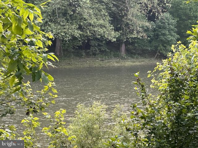 270 Pharr Road Everett, PA 15537 - Photo 2 of 40 a view of a tree with a plant