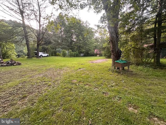 270 Pharr Road Everett, PA 15537 - Photo 23 of 40 a view of a garden with trees