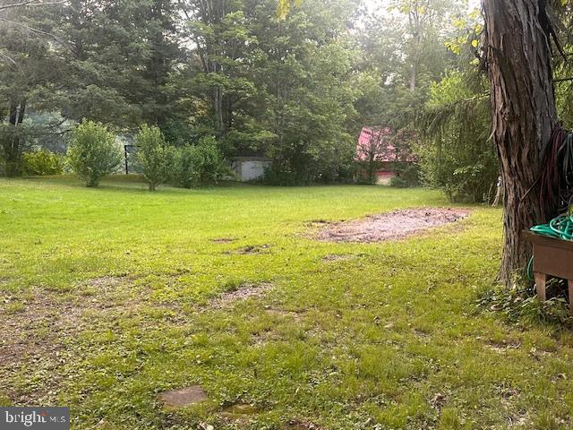 270 Pharr Road Everett, PA 15537 - Photo 25 of 40 a view of yard