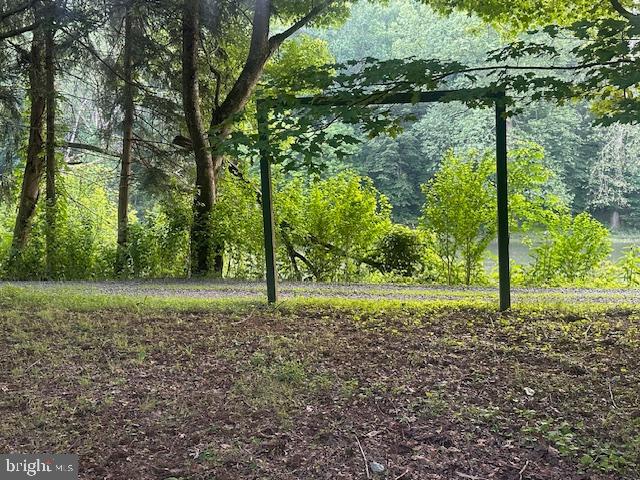 270 Pharr Road Everett, PA 15537 - Photo 30 of 40 a view of a yard with a tree