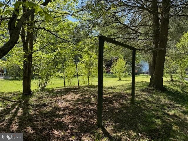 270 Pharr Road Everett, PA 15537 - Photo 3 of 40 a view of a yard with lots of trees