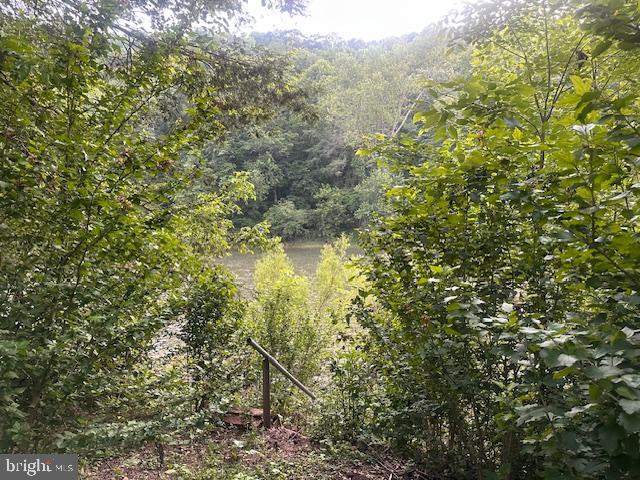 270 Pharr Road Everett, PA 15537 - Photo 34 of 40 a view of a forest with an outdoor space