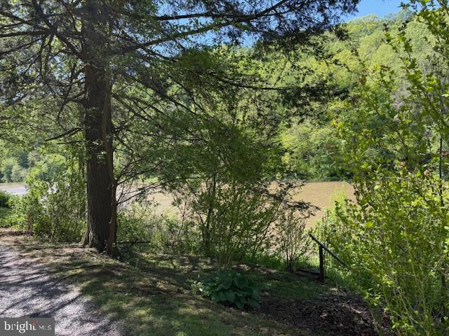 270 Pharr Road Everett, PA 15537 - Photo 4 of 40 a view of a forest with trees