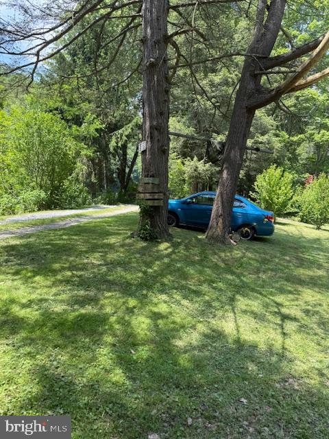 270 Pharr Road Everett, PA 15537 - Photo 5 of 40 a view of a trees in a yard