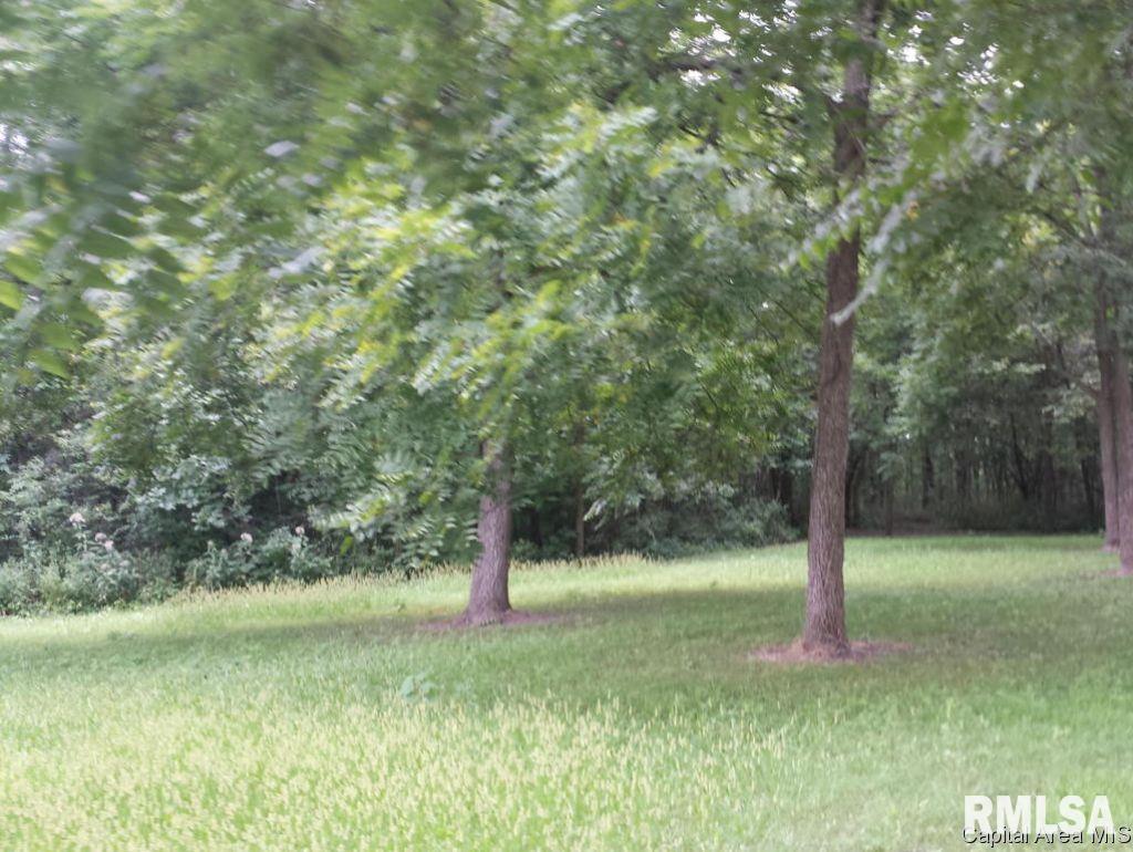 1532 Barefoot Road Knoxville, IL 61448 - Photo 33 of 36 Gallery Image 33