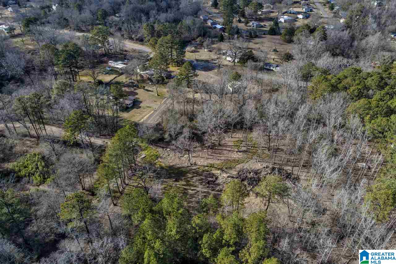 4491 Jim Tate Road Dora, AL 35062 - Photo 10 of 15