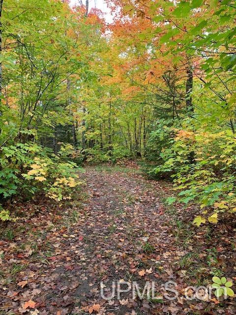 N3002 Heeti Road Trenary, MI 49891 - Photo 44 of 50 Gallery Image 44