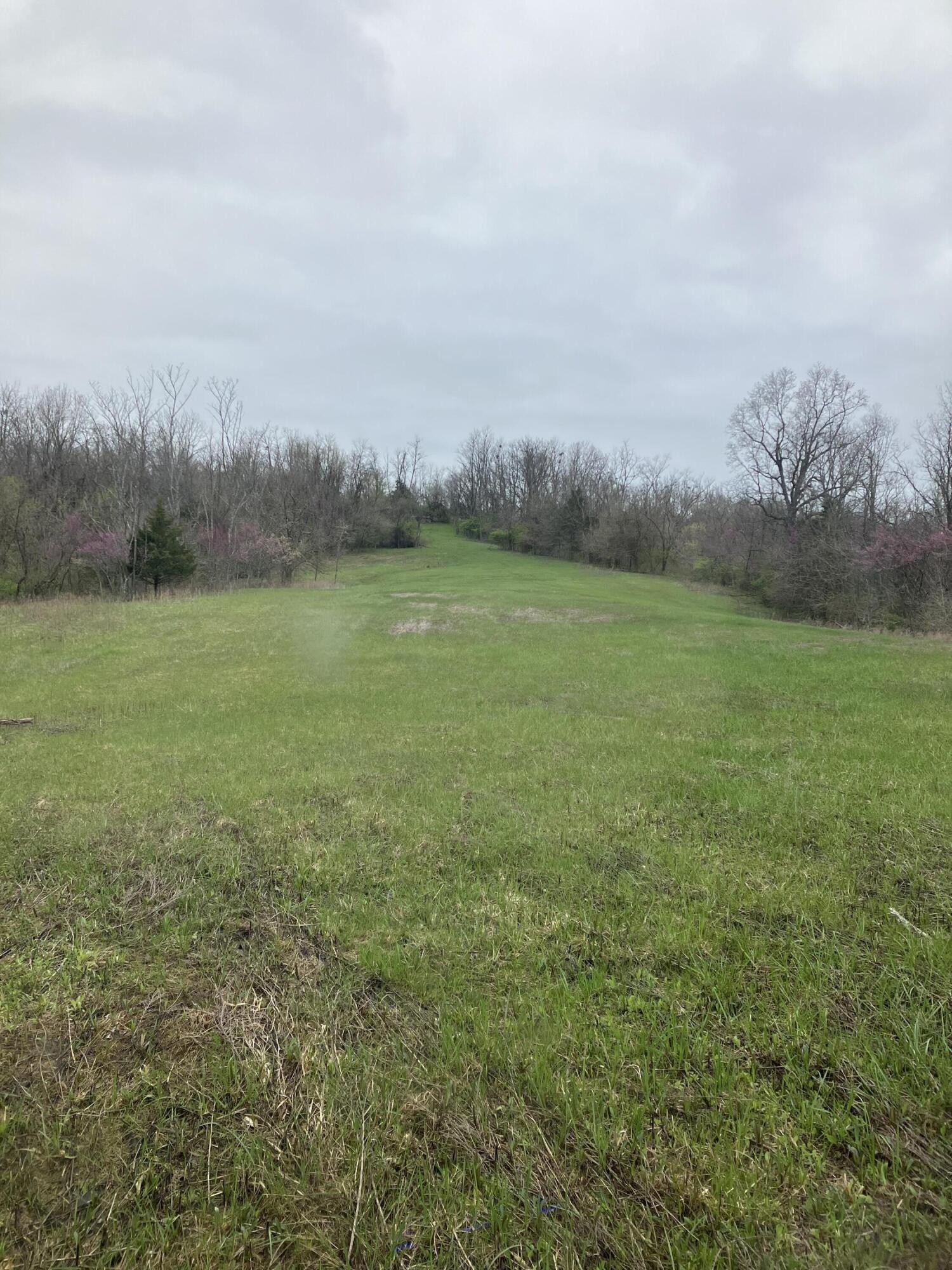 3626 White Oak Road Owingsville, KY 40360 - Photo 29 of 34 IMG_4729