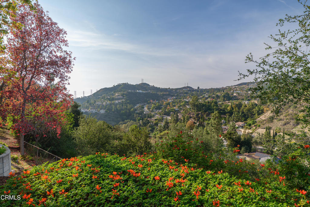 3514 St Elizabeth Road Glendale, CA 91206 - Photo 37 of 75 a view of a bunch of flowers and trees