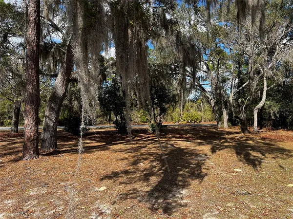 a view of a tree in front of a house