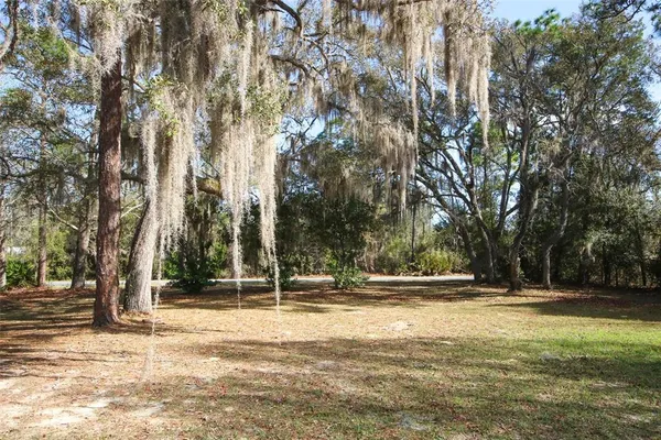 a view of a street with yard and trees
