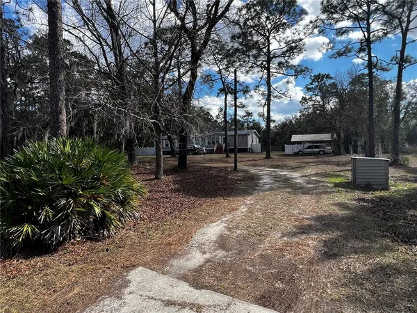 a view of a park with large trees