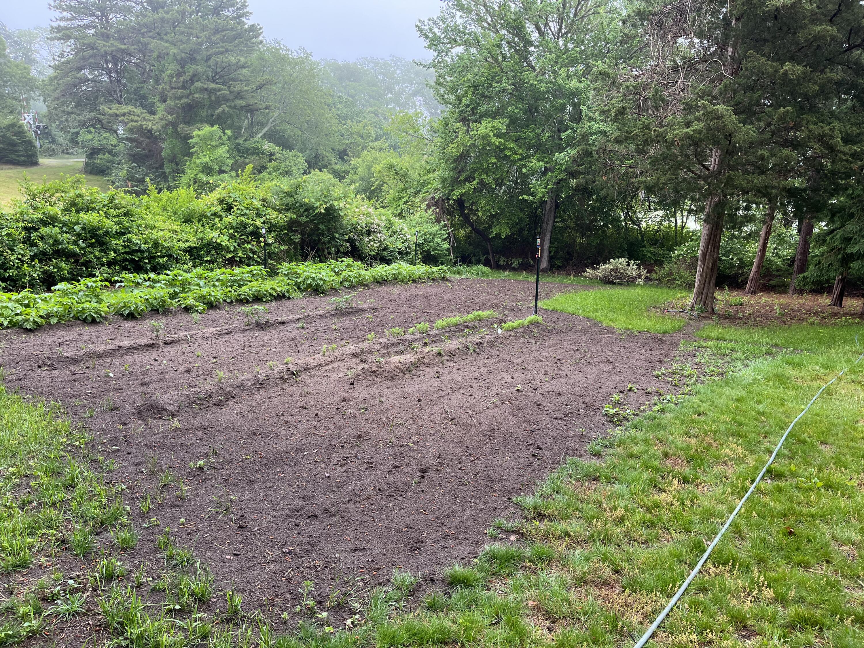 176 Maple Street West Barnstable, MA 02668 - Photo 71 of 83 IMG_1258