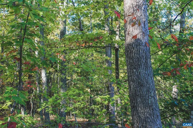 a balcony with trees