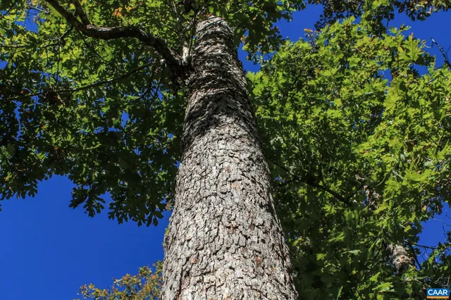 a view of a tennis court