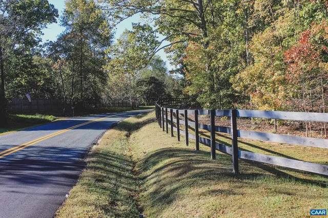 a close up of a road and a plant