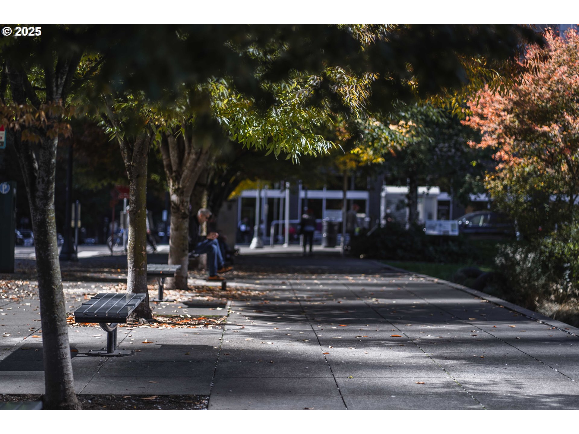 820 Northwest 12th Avenue, Unit 110 Portland, OR 97209 - Photo 45 of 47