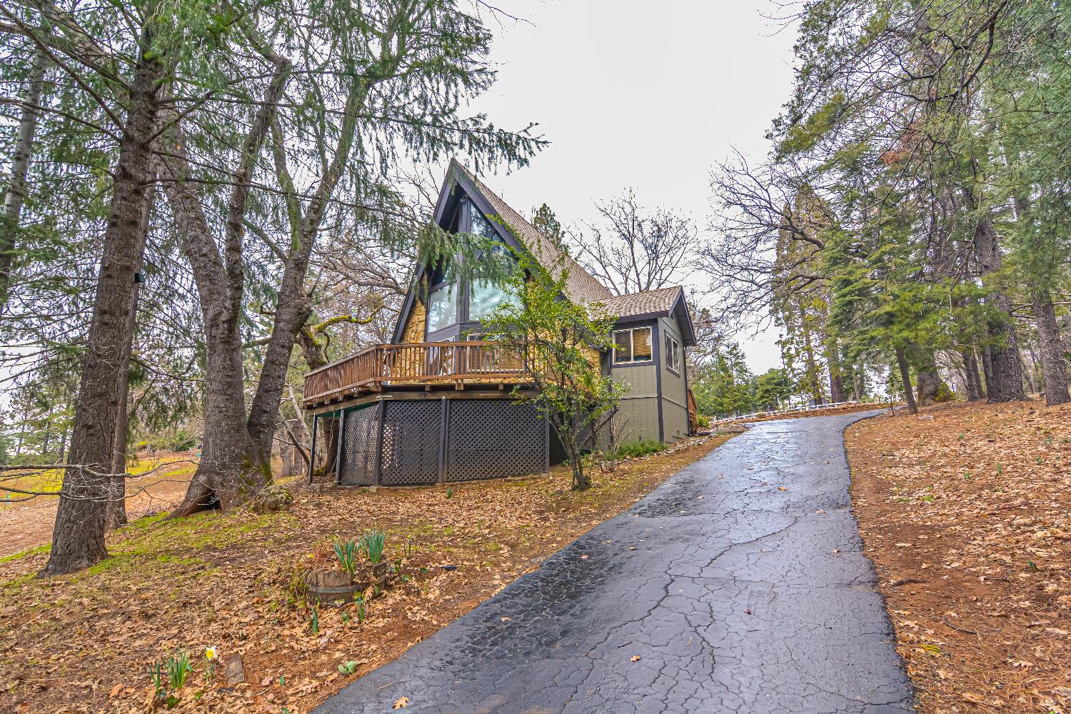 a view of a house with a yard and tree