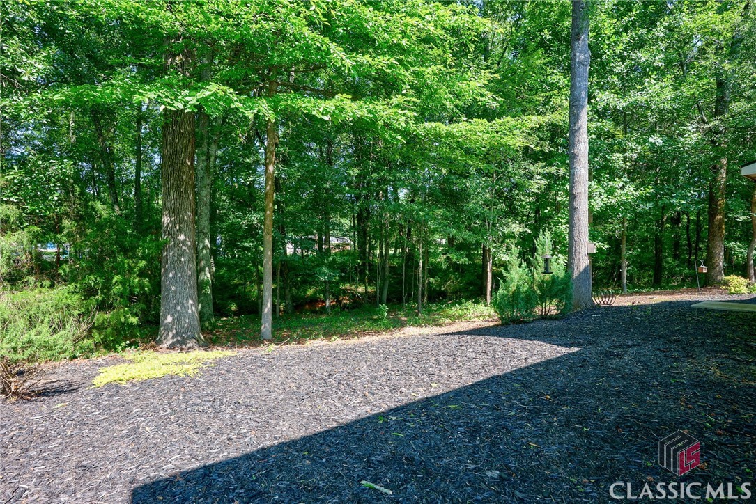 1640 Madison Court Bogart, GA 30622 - Photo 46 of 69