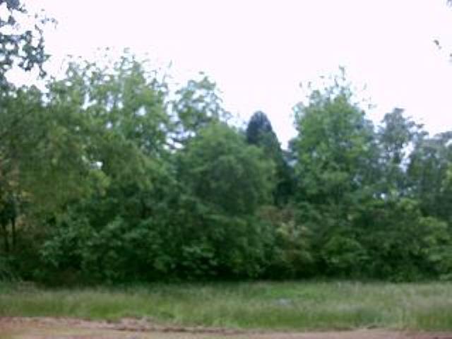 6445 New Cut Road Inman, SC 29349 - Photo 5 of 20