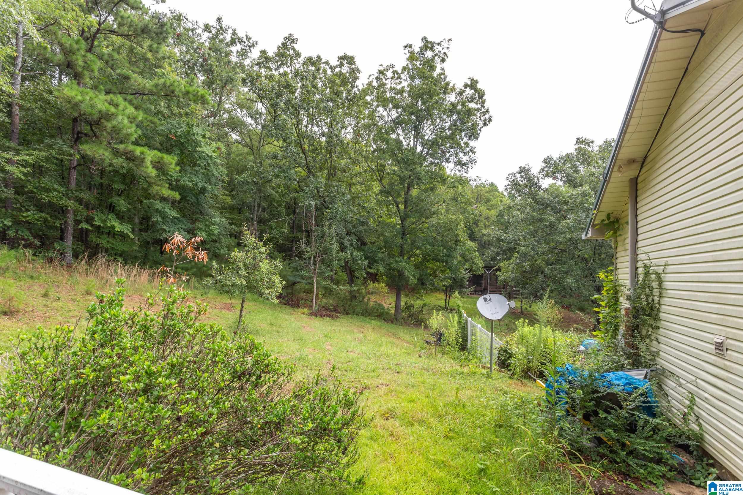 631 Holland-Finley Road Jacksonville, AL 36265 - Photo 19 of 26