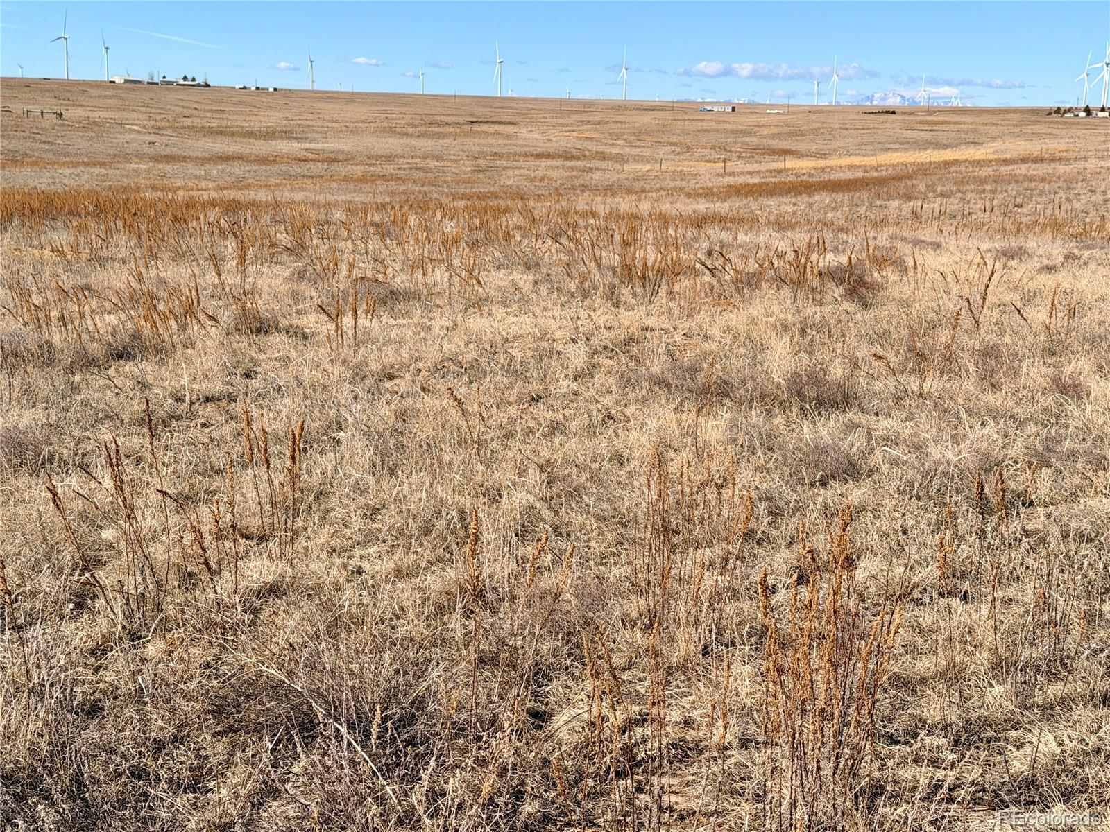 1 Mulberry Road Calhan, CO 80808 - Photo 9 of 15 a view of an ocean