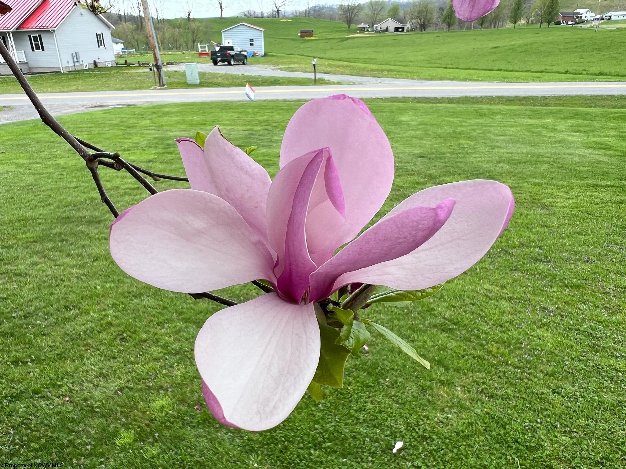 49 Westfield Road Jane Lew, WV 26378 - Photo 27 of 33 Gallery Image 27