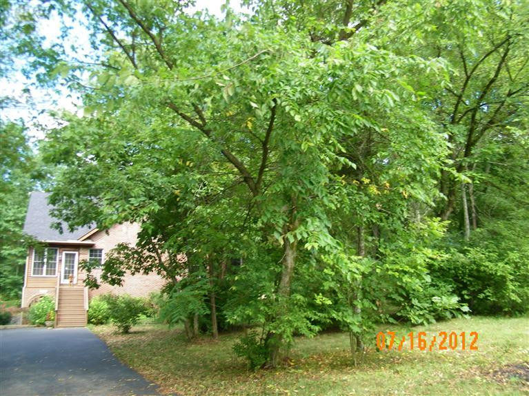 8137 Tates Creek Road Lexington, KY 40515 - Photo 5 of 40 Photo 5