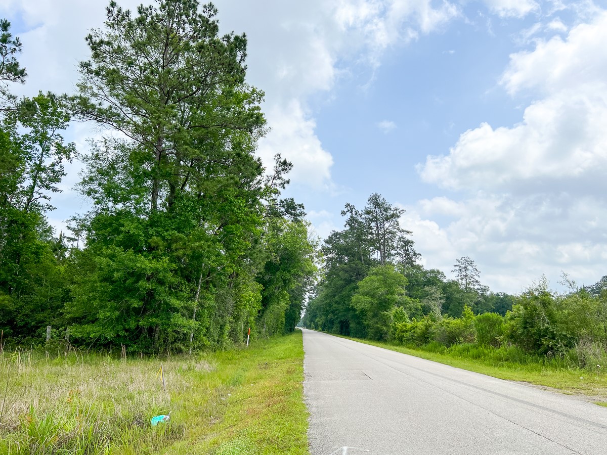 0 Cravens Camp Road Silsbee, TX 77656 - Photo 6 of 6