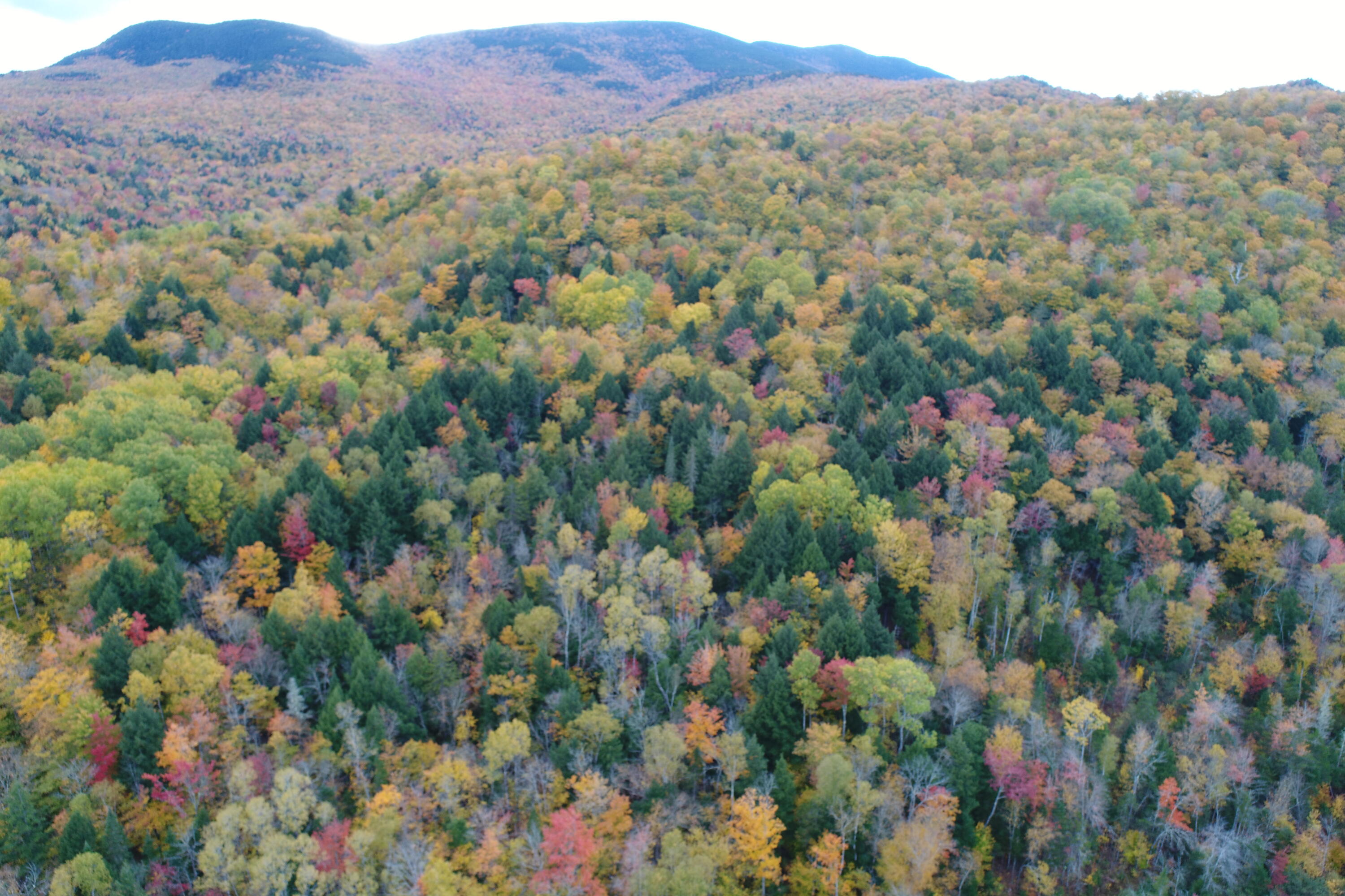 0 Bear River Road Newry, ME 04261 - Photo 25 of 34 DJI_0014