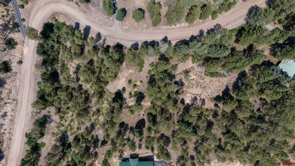 an aerial view of a house with a yard and large trees