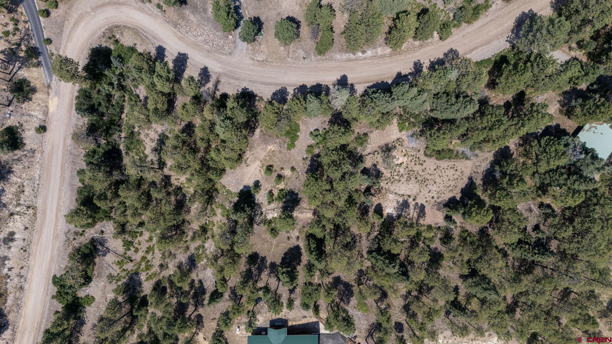 an aerial view of a house with a yard and large trees