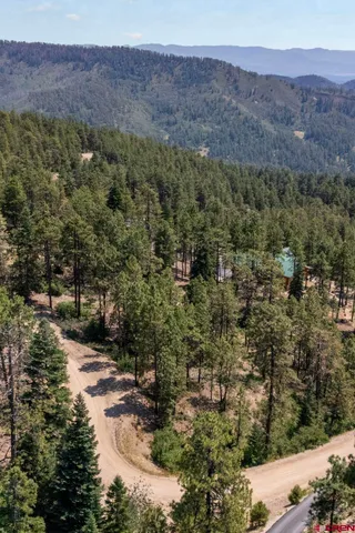 a view of a yard with plants and trees