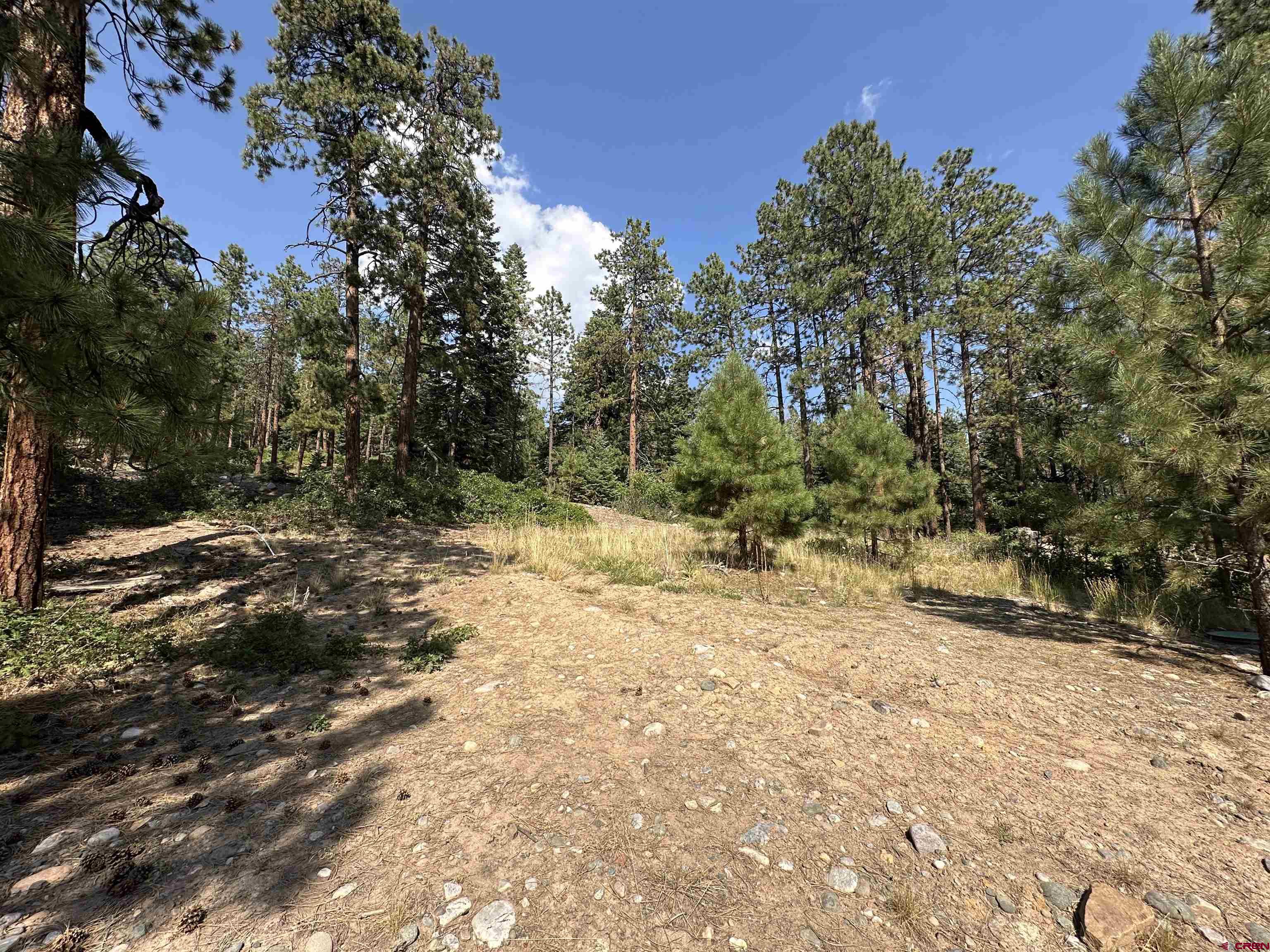 150 Pine Ridge Drive Bayfield, CO 81122 - Photo 14 of 27 a view of a yard with plants and trees