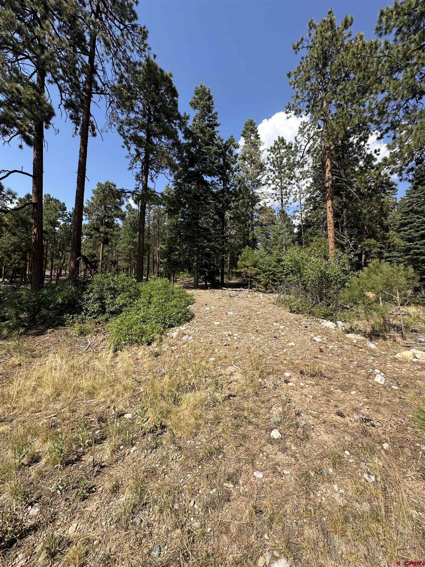150 Pine Ridge Drive Bayfield, CO 81122 - Photo 15 of 27 a view of a yard