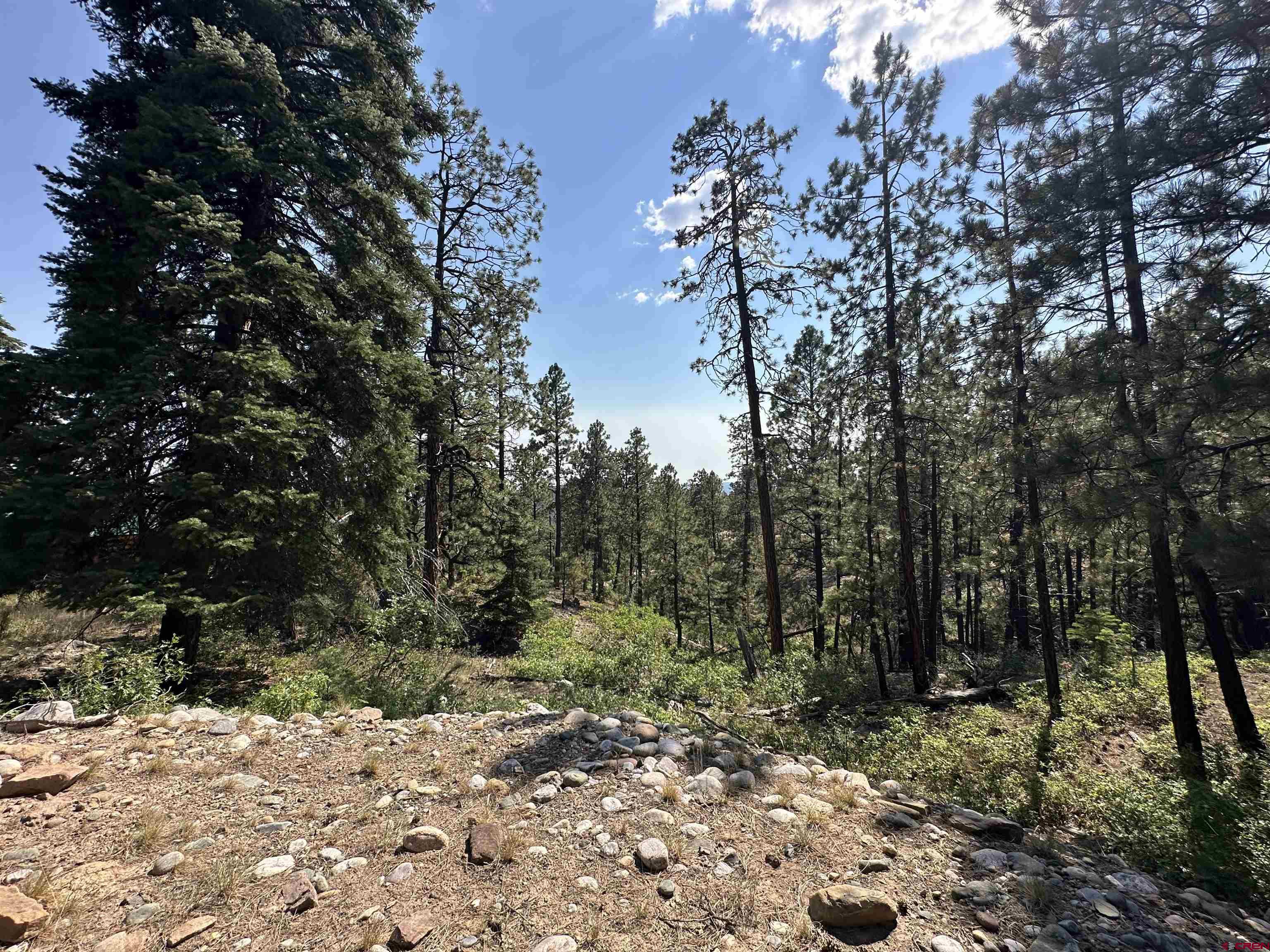 150 Pine Ridge Drive Bayfield, CO 81122 - Photo 16 of 27 a view of a forest filled with trees