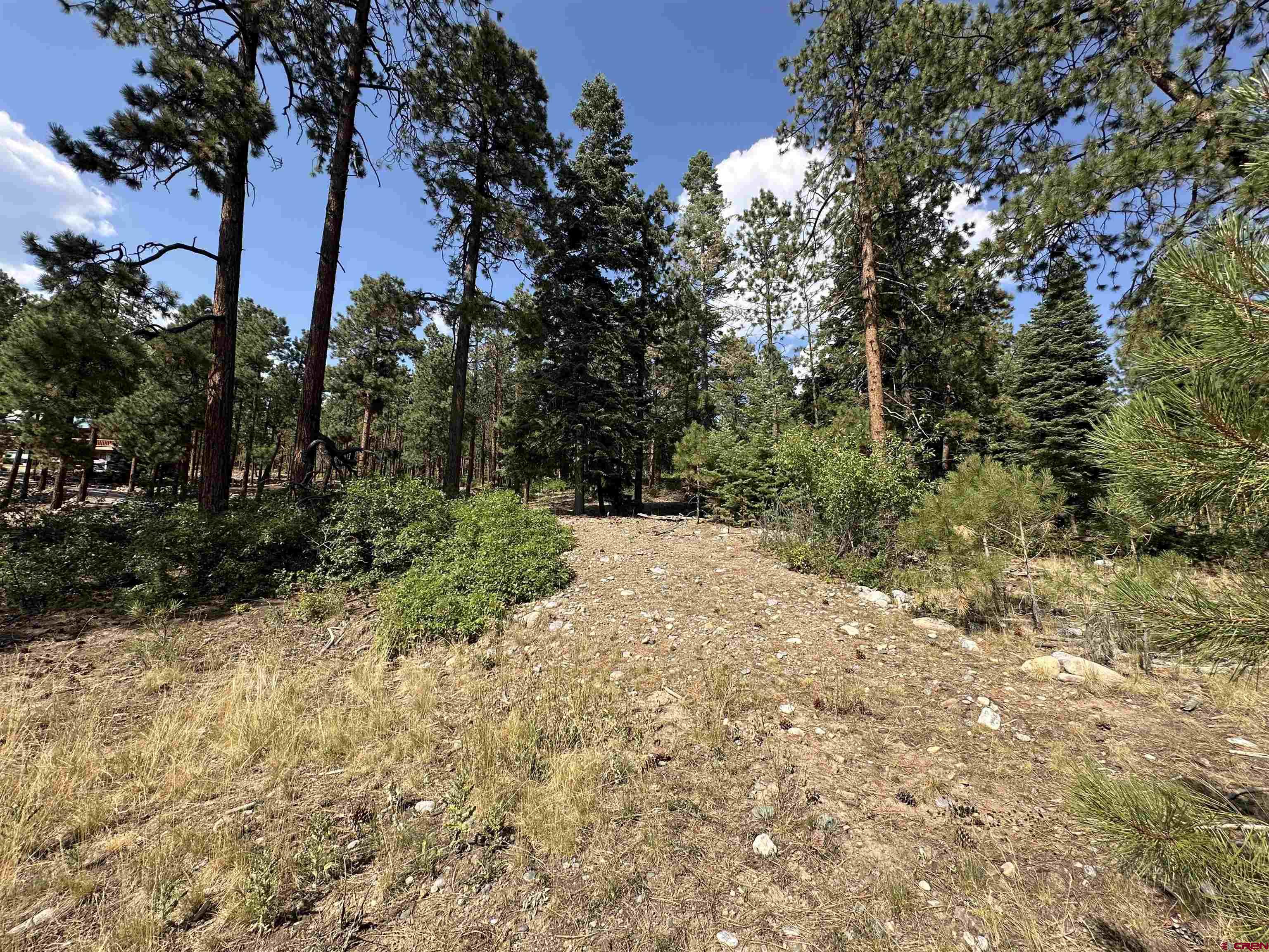 150 Pine Ridge Drive Bayfield, CO 81122 - Photo 17 of 27 a view of a yard with trees