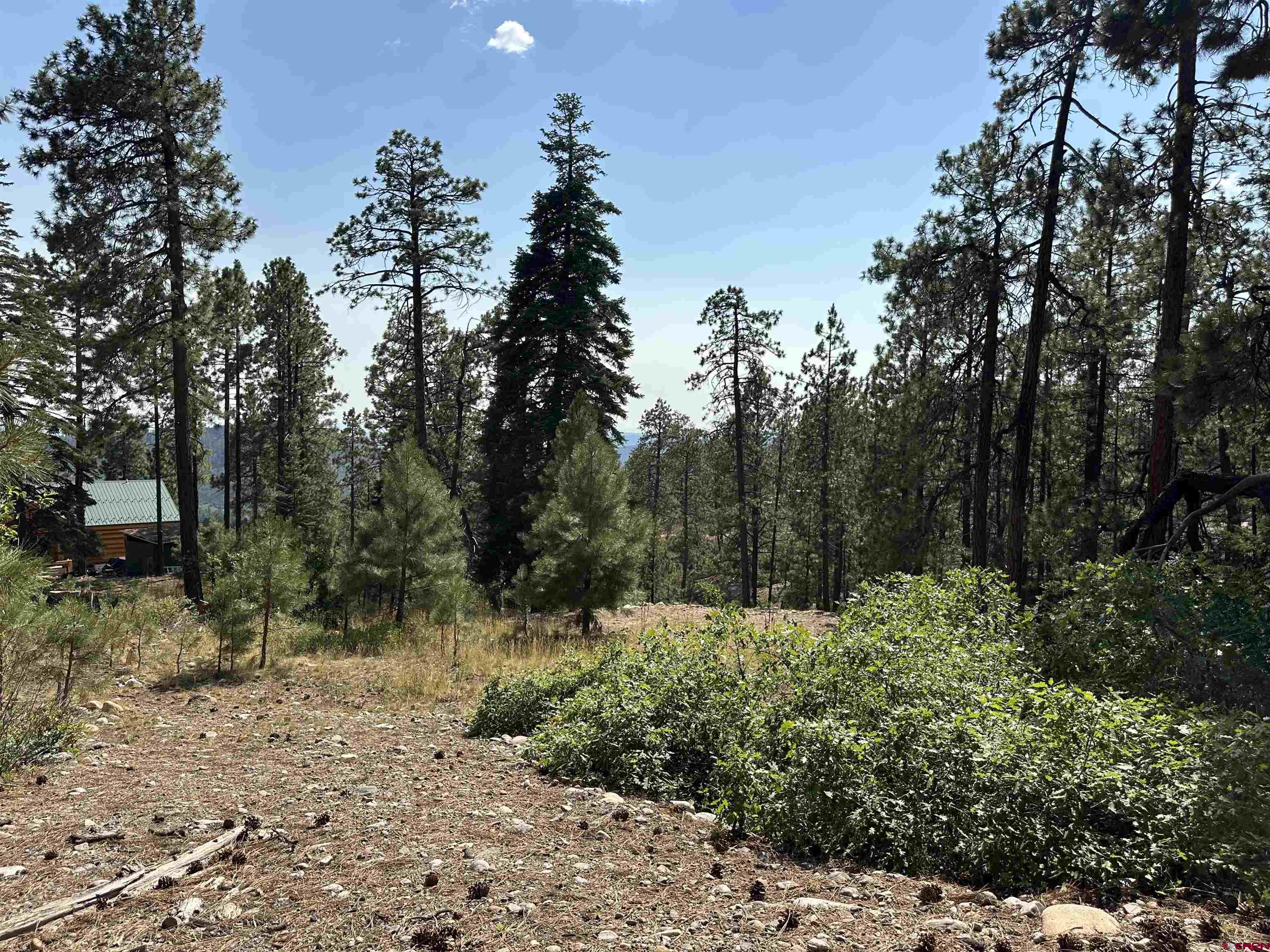 150 Pine Ridge Drive Bayfield, CO 81122 - Photo 19 of 27 a view of a forest with trees in the background
