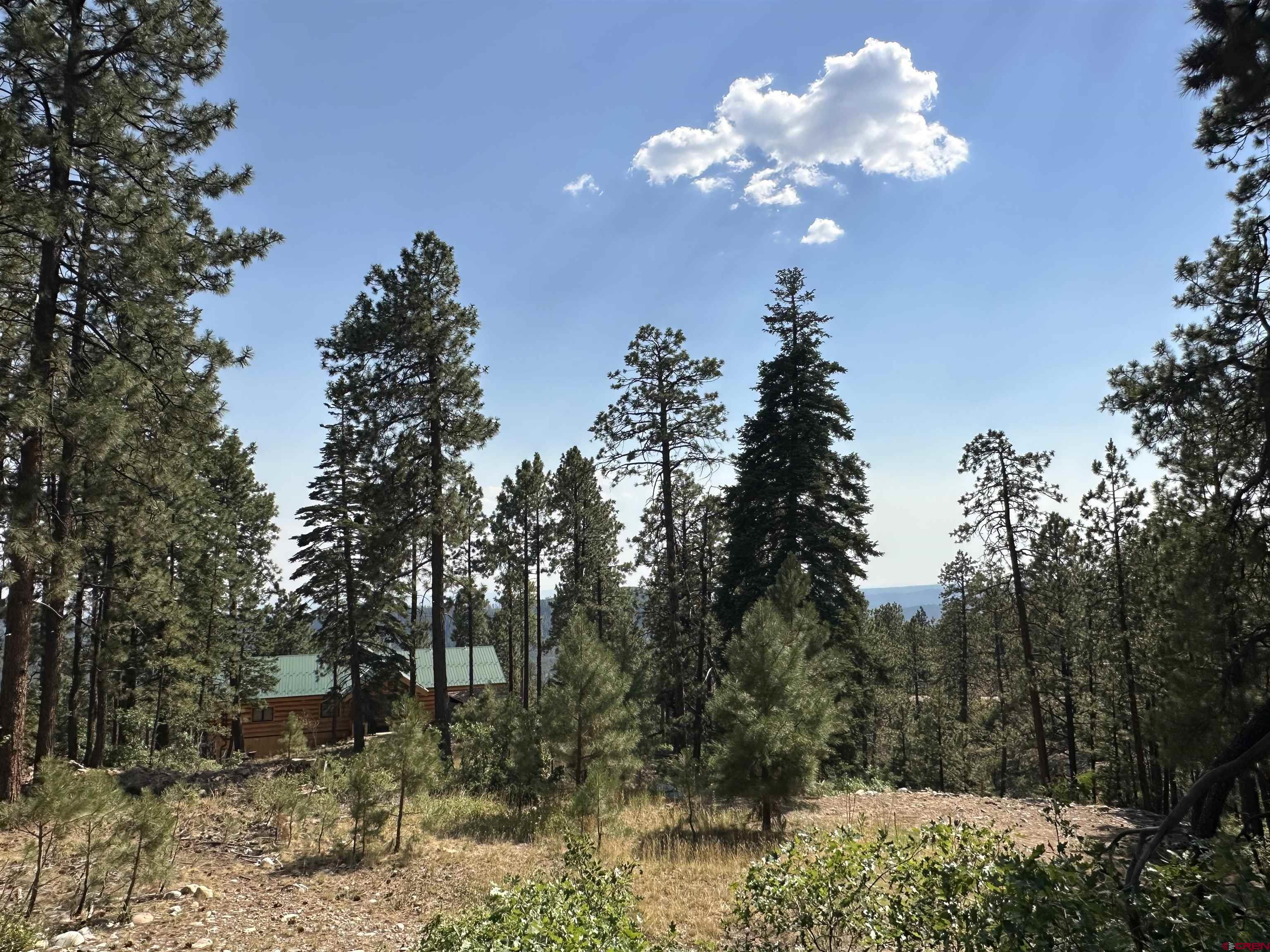 150 Pine Ridge Drive Bayfield, CO 81122 - Photo 20 of 27 a view of a tree in a yard