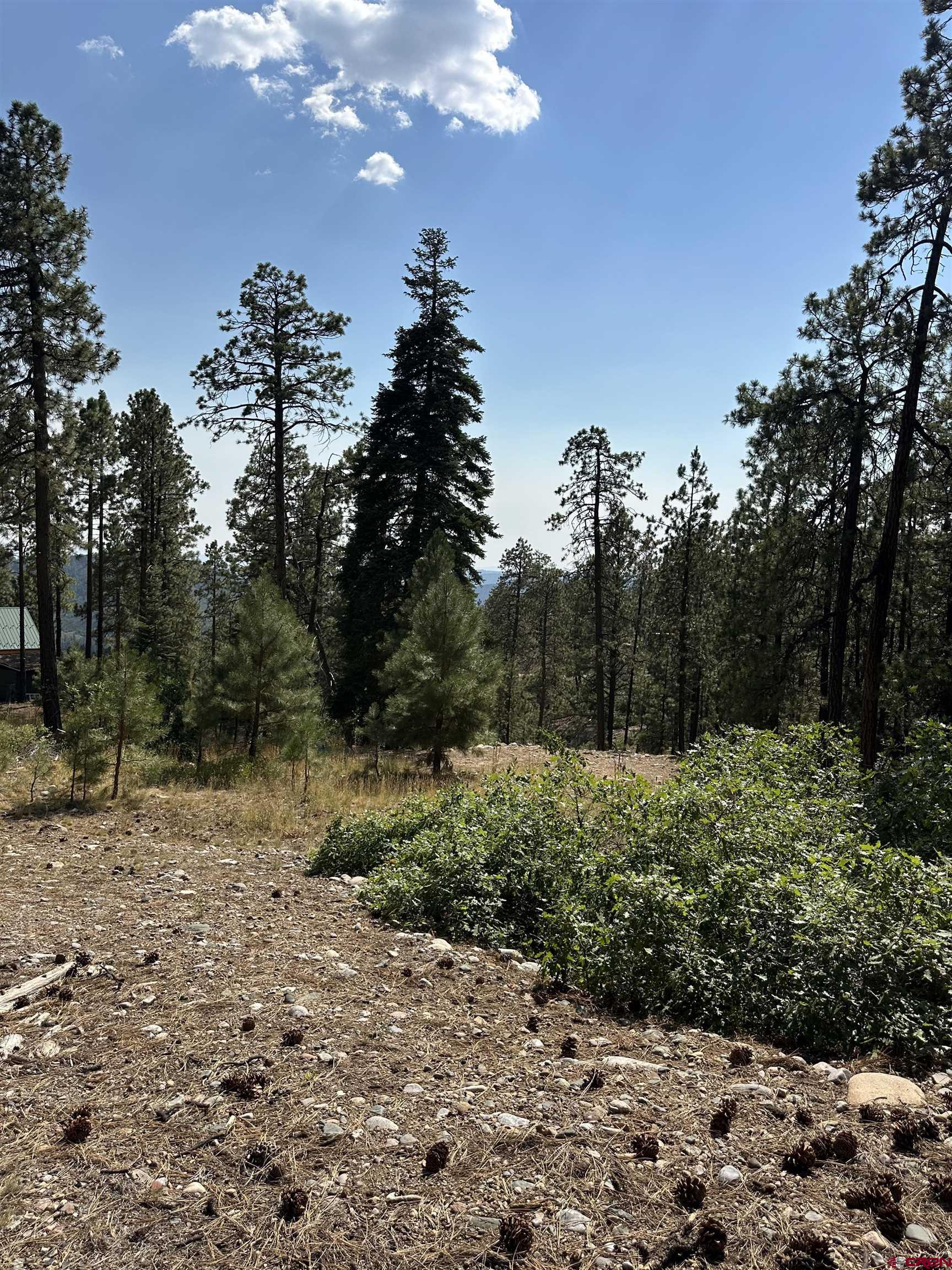 150 Pine Ridge Drive Bayfield, CO 81122 - Photo 21 of 27 a view of a large yard with lots of green space