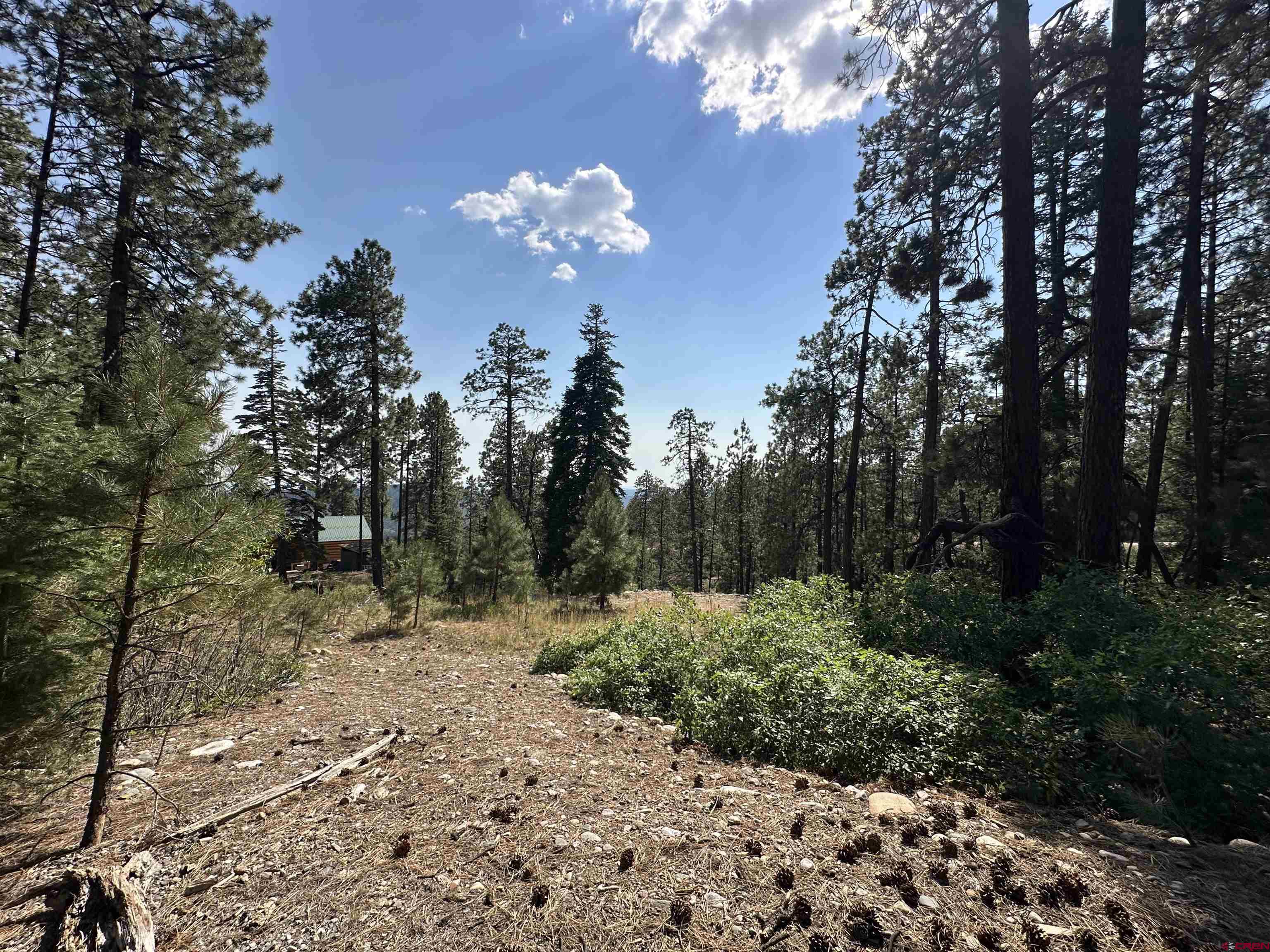 150 Pine Ridge Drive Bayfield, CO 81122 - Photo 22 of 27 a view of a yard with a tree