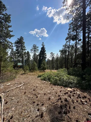 a view of outdoor space with trees all around
