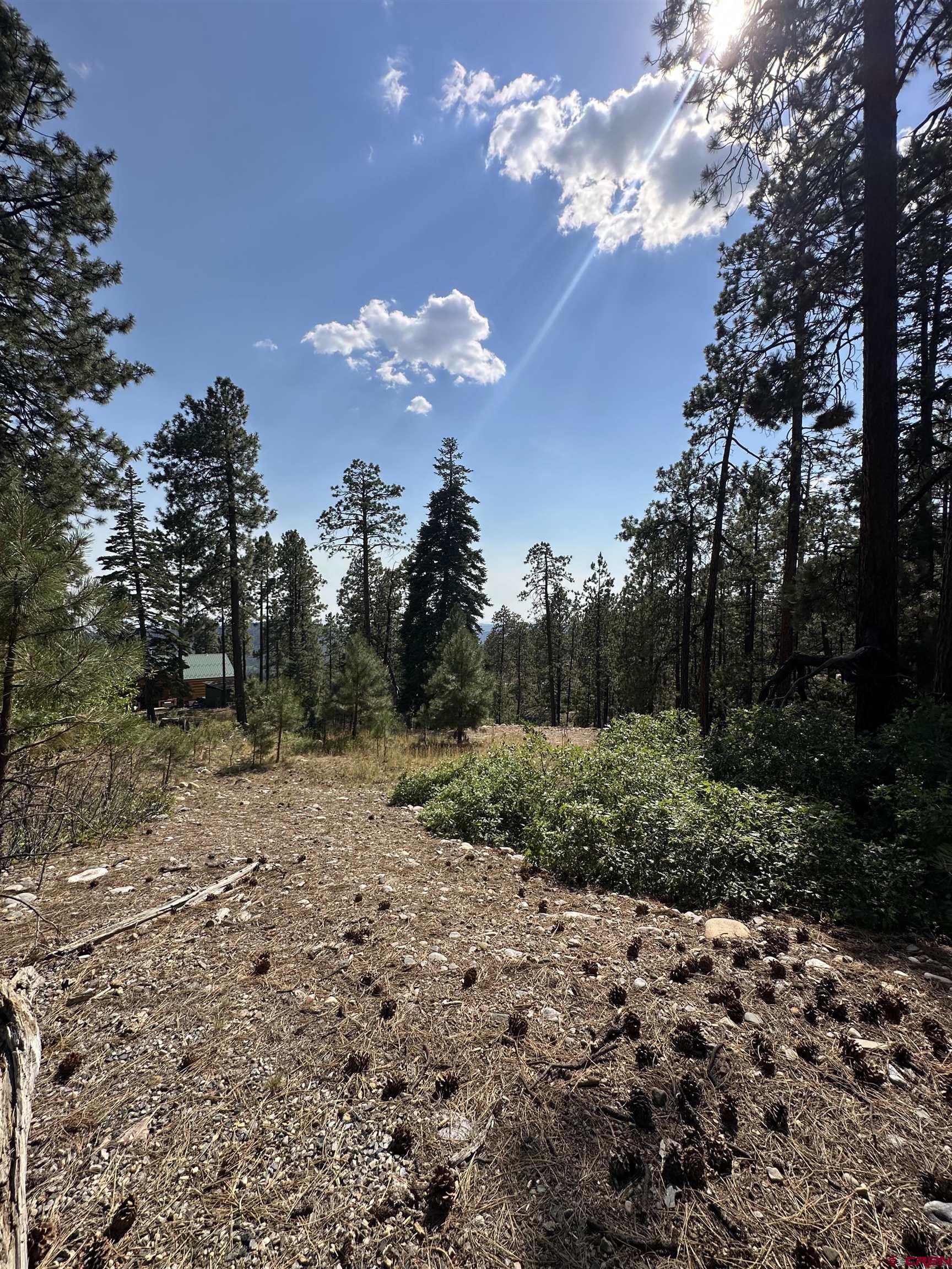 150 Pine Ridge Drive Bayfield, CO 81122 - Photo 24 of 27 a view of a yard