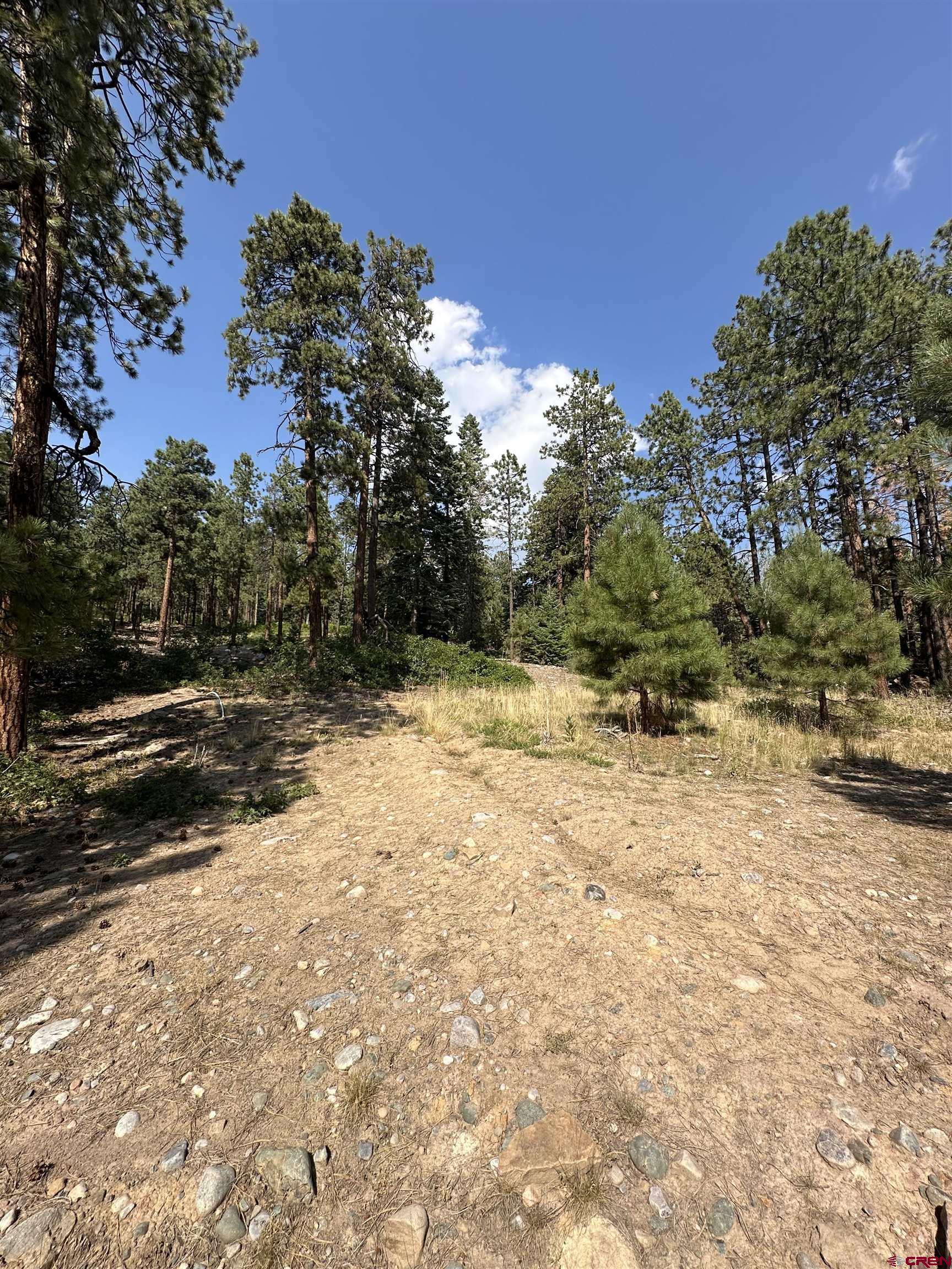 150 Pine Ridge Drive Bayfield, CO 81122 - Photo 25 of 27