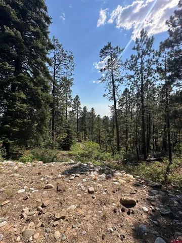 $95,000 | 150 Pine Ridge Drive, Bayfield, CO 81122