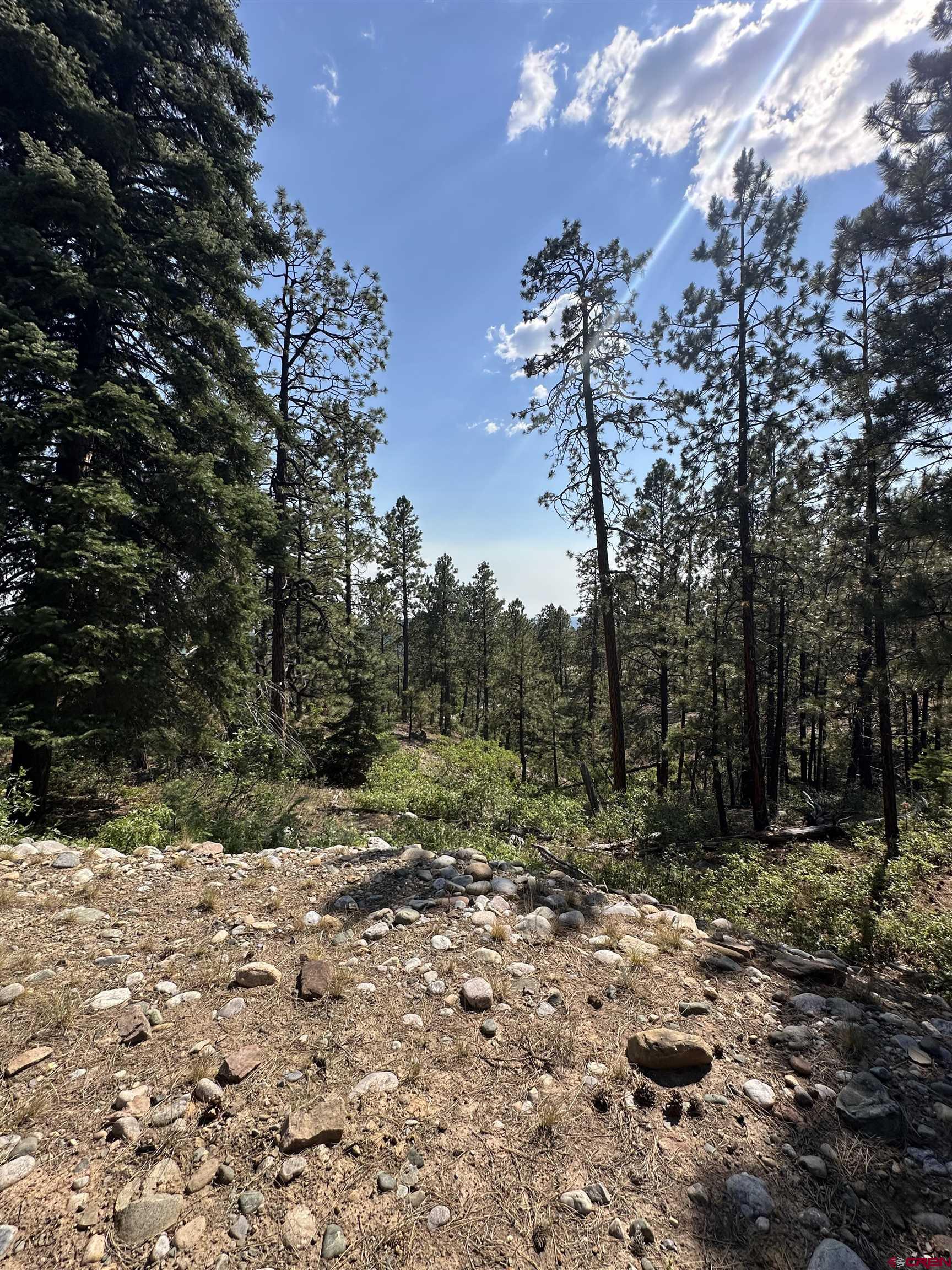 150 Pine Ridge Drive Bayfield, CO 81122 - Photo 26 of 27 a view of outdoor space with trees all around