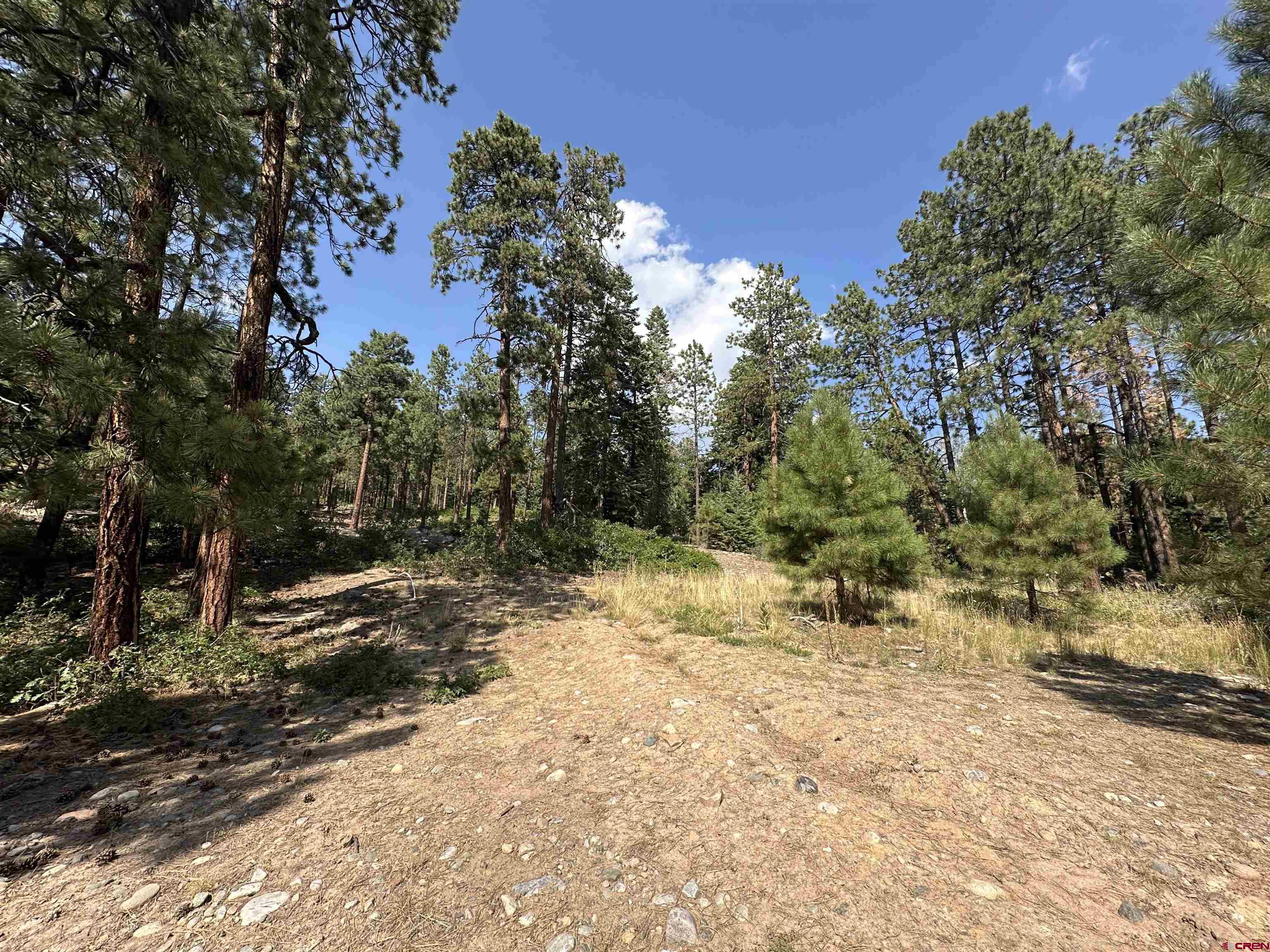150 Pine Ridge Drive Bayfield, CO 81122 - Photo 27 of 27 a view of a yard covered with snow in front of house