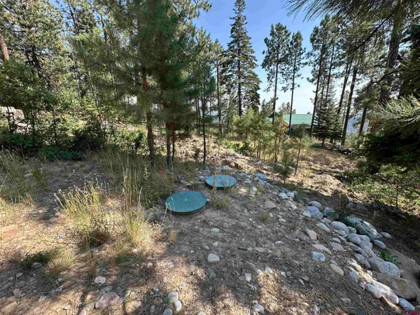 a view of a yard with trees