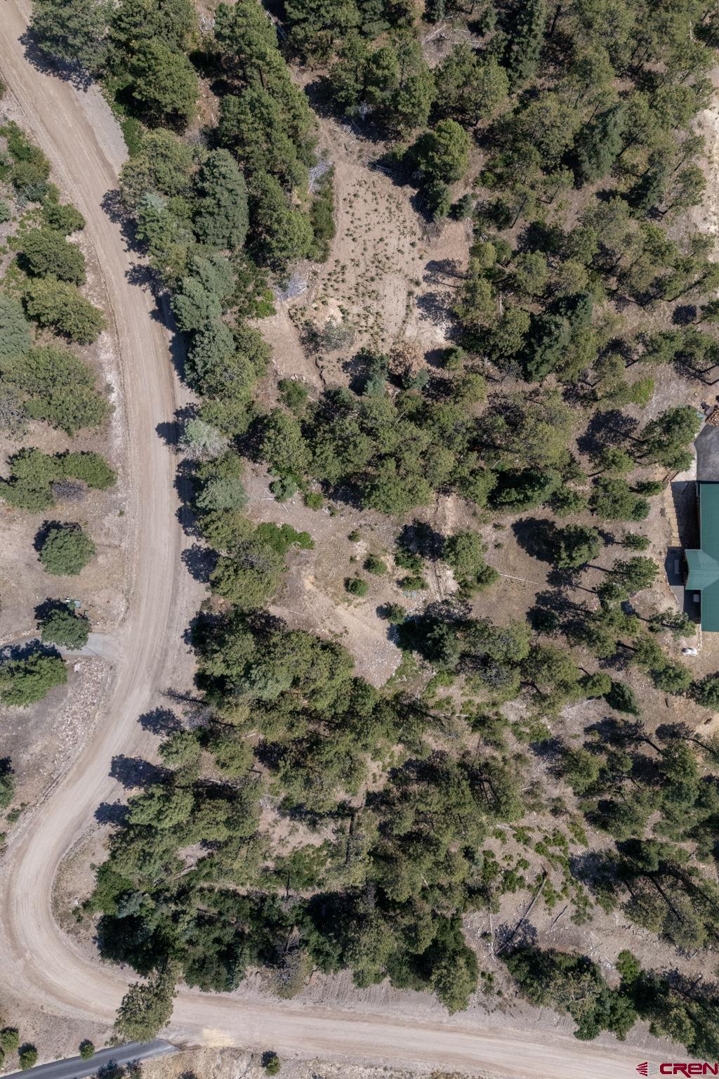 150 Pine Ridge Drive Bayfield, CO 81122 - Photo 4 of 27 a view of a yard with trees